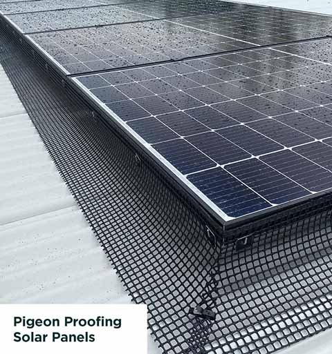 pigeon-proofing-solar-panels